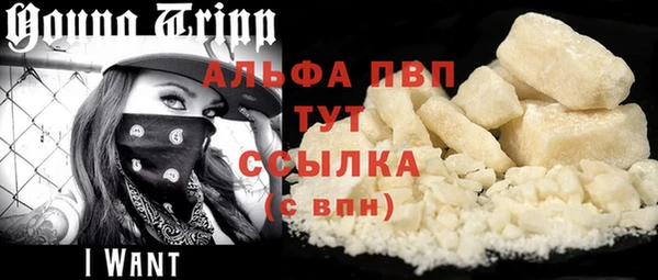 гашик Абинск