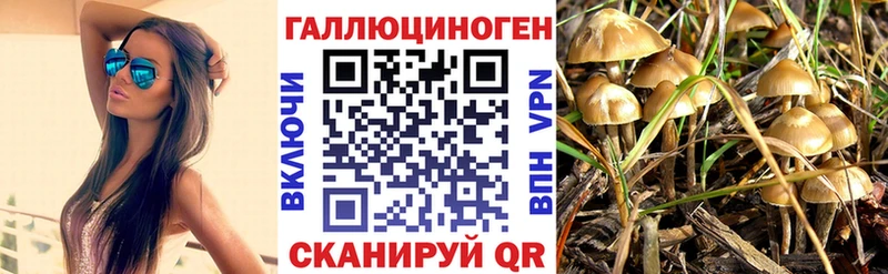 как найти закладки Черемхово Галлюциногенные грибы мухоморы